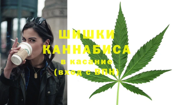 бутират Бородино