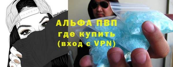 прущие грибы Бронницы