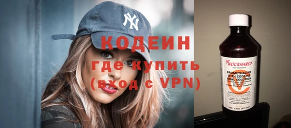 прущие грибы Бронницы
