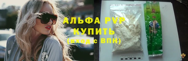 прущие грибы Бронницы
