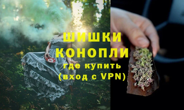 прущие грибы Бронницы