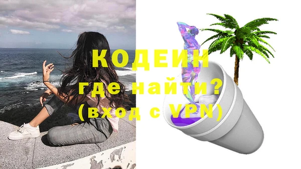 прущие грибы Бронницы