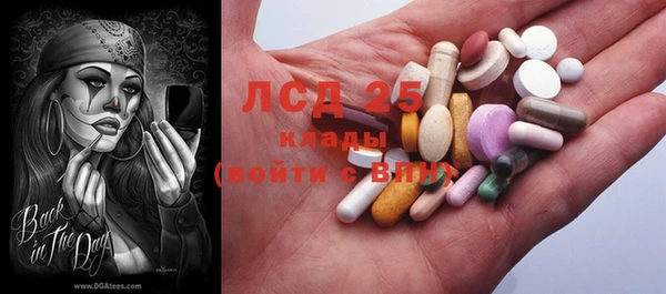 прущие грибы Бронницы